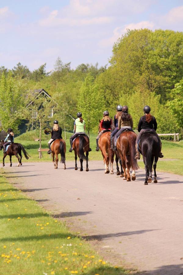 Horsetellerie Rheezerveen Hardenberg Exterior photo