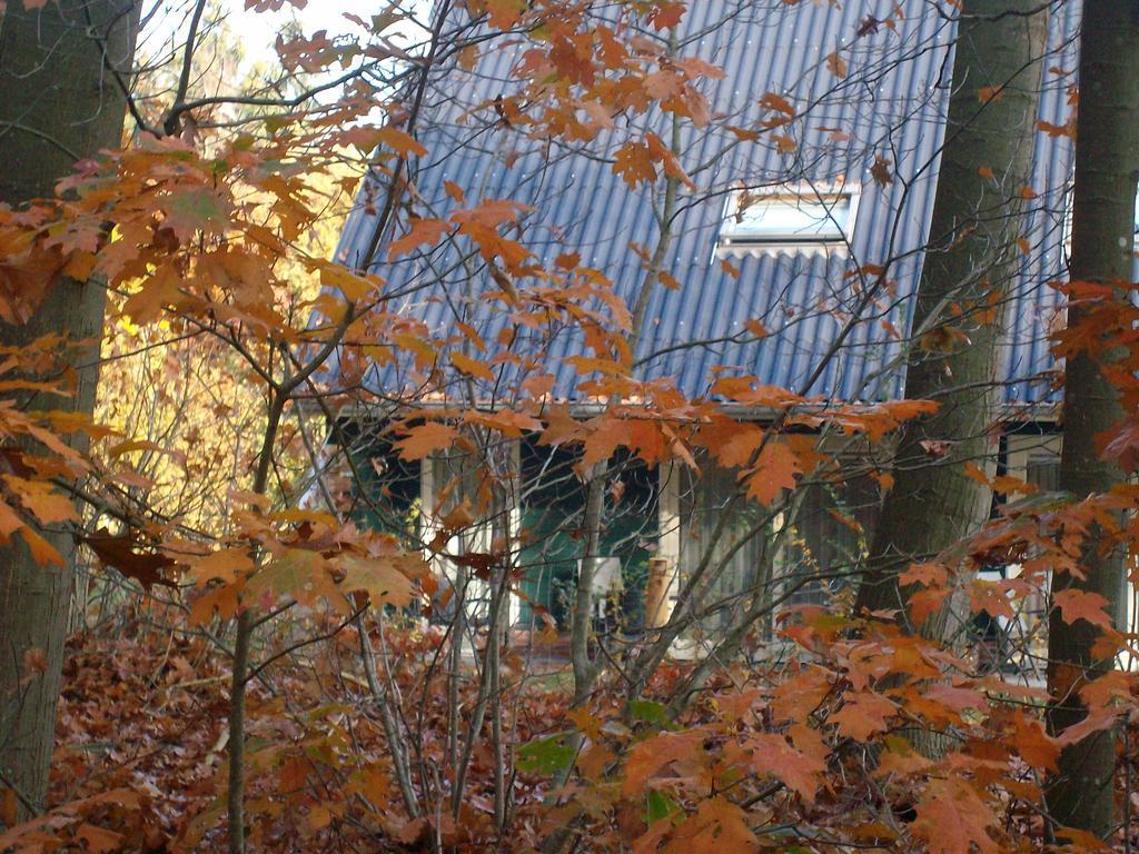 Horsetellerie Rheezerveen Hardenberg Exterior photo